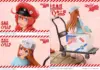 Red Blood Cell & Platelet Unite: PRISMA WING’s 26 cm Cells at Work! Bonus Figure Opens Preorders
