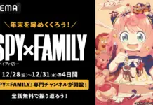 SPY x FAMILY Year-End Marathon: All 50 Episodes Streaming Free on ABEMA